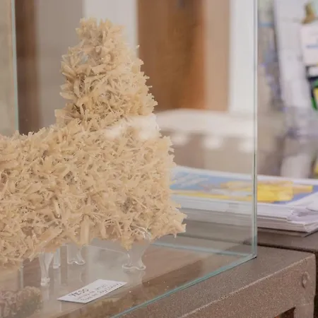 Πανσιόν La Mina Boutique