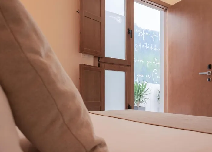 招待所 La Mina Boutique